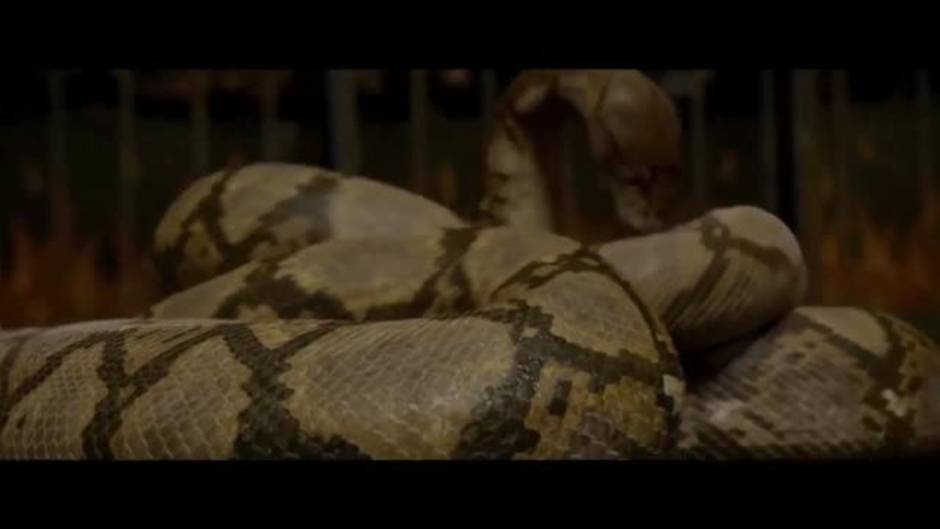 La serpiente Nagini ataca en el nuevo adelanto de Animales Fantásticos 2