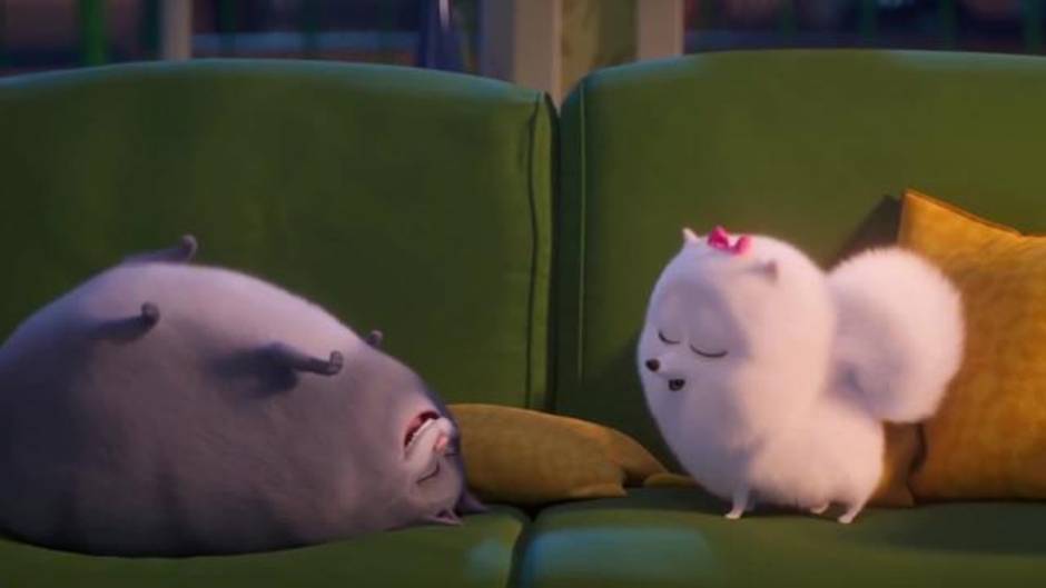 Chloe protagoniza el segundo tráiler de Mascotas 2