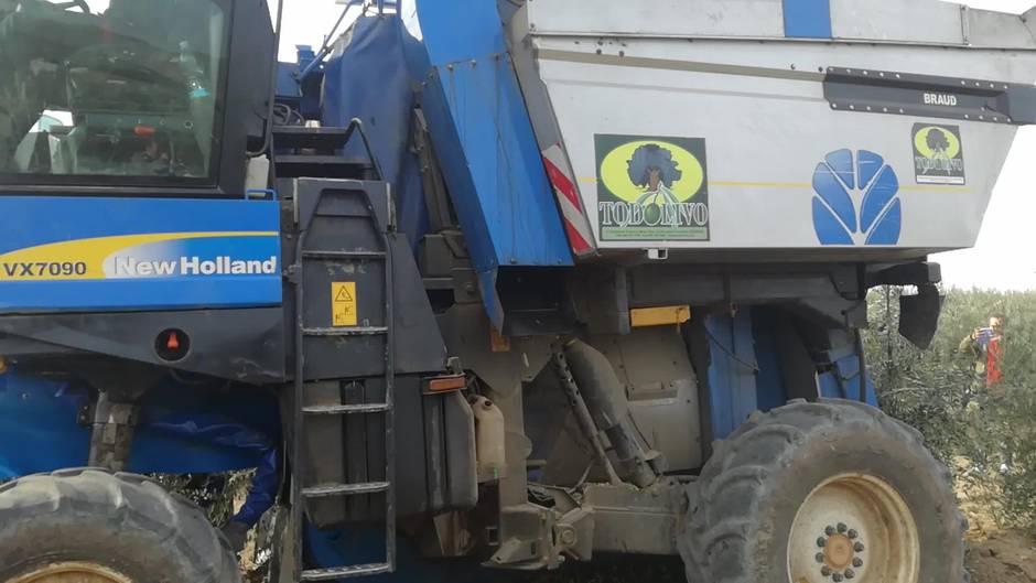 TODOLIVO-COSECHADORA-CORDOBA