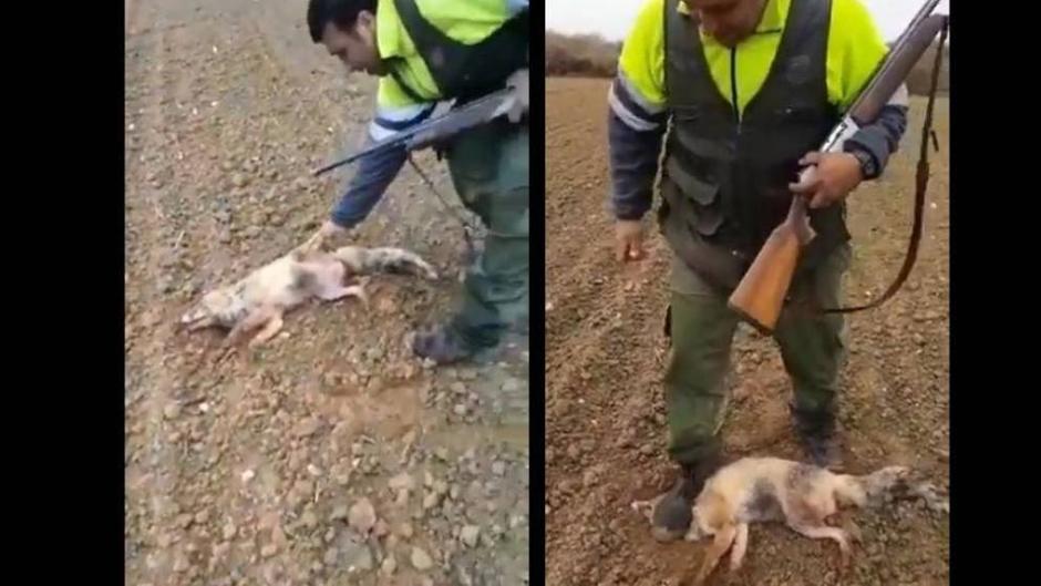 El indignante vídeo de un hombre que maltrata a un zorro