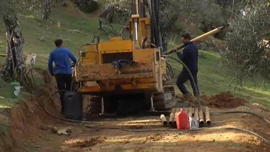 En Doñana hay más de 50 pozos ilegales en un kilómetro