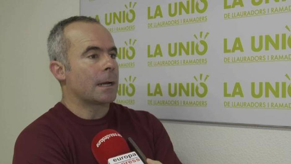 La producción citrícola "en el suelo" por "crisis profunda del sector"