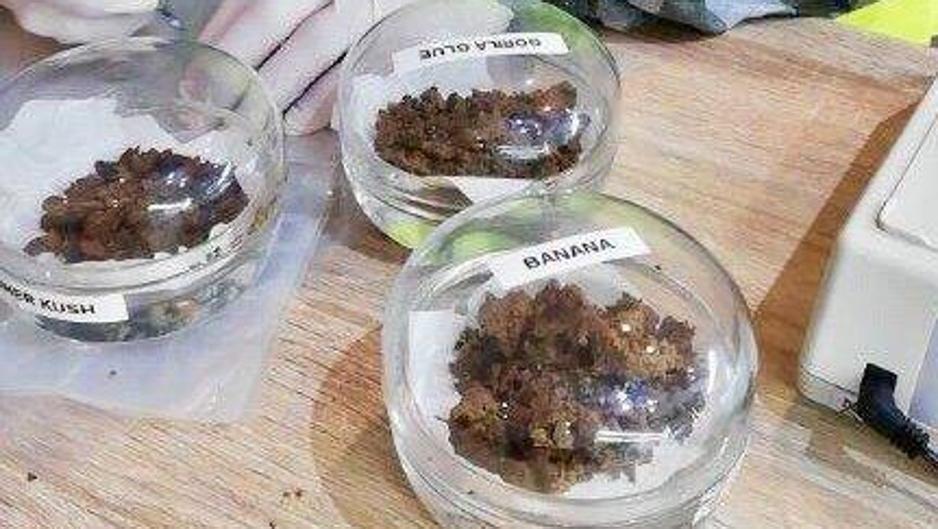 Así escondían la droga en una bombona de butano en un club privado de fumadores de cannabis