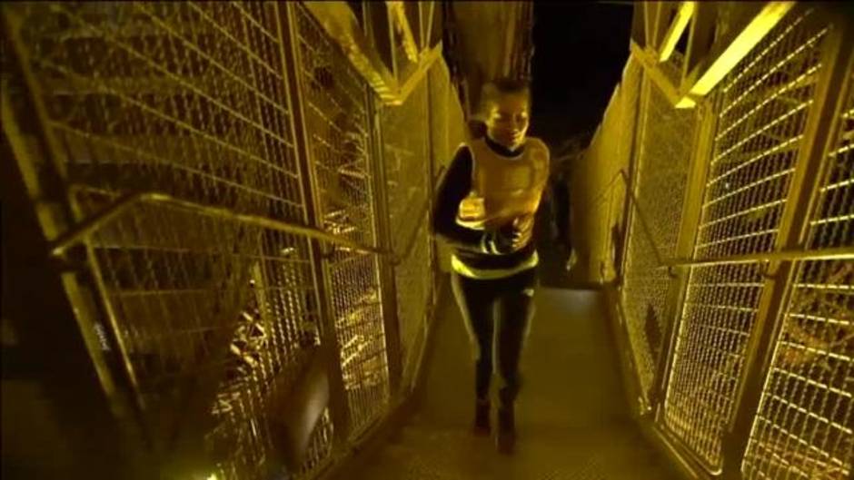 Más de 100 atletas suben corriendo la Torre Eiffel y sus más de 1.600 escalones