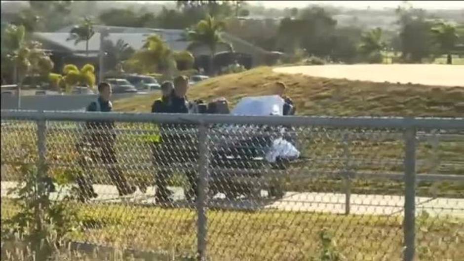 Un bebé de 14 meses sobrevive al ataque de un dingo australiano