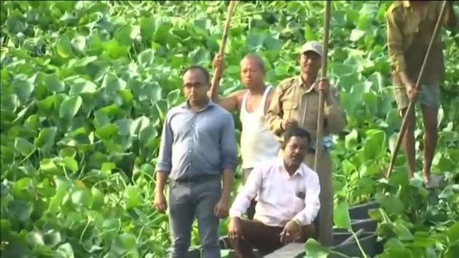 Rescatan a una cría de elefante de un lago en la India