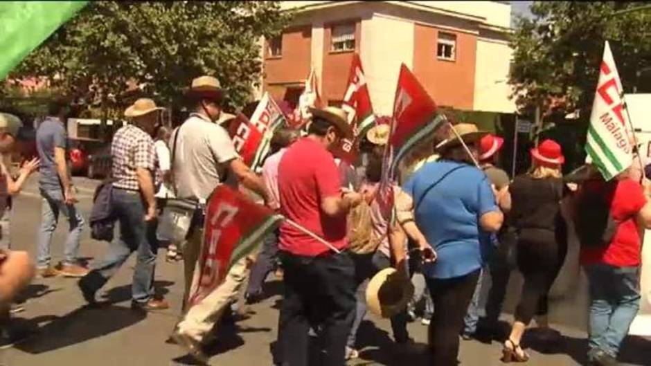 Cientos de agricultores protestan en Sevilla por un convenio justo