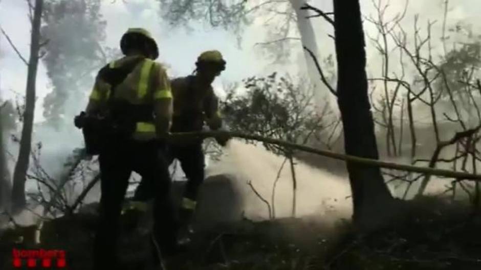 Bomberos trabajan en la extinción del incendio del Perelló