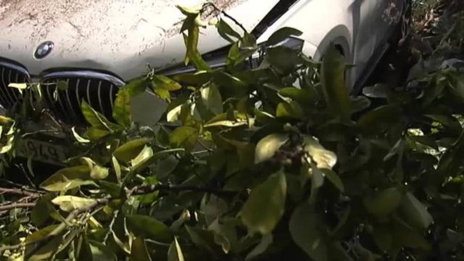 Espectacular accidente de un coche en A Coruña al aterrizar en un huerto después de salirse de la calzada