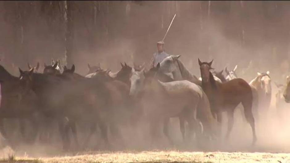 La celebración de la 'Saca de Yeguas' cumple 515 años