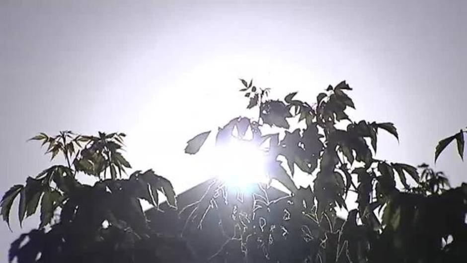 Expertos recuerdan que el año pasado murieron 50 personas por un golpe de calor