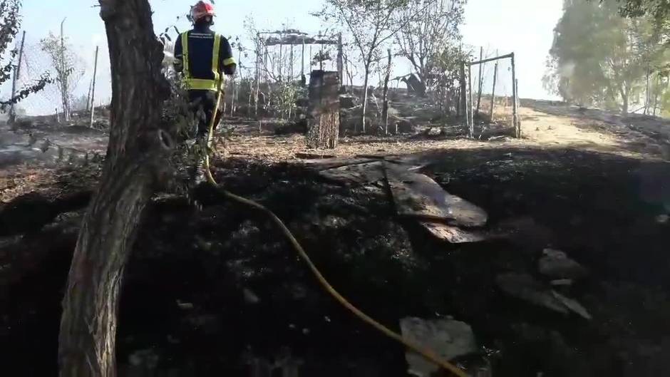 Un nuevo incendio en el Cerro del Carambolo de Camas indigna a los vecinos