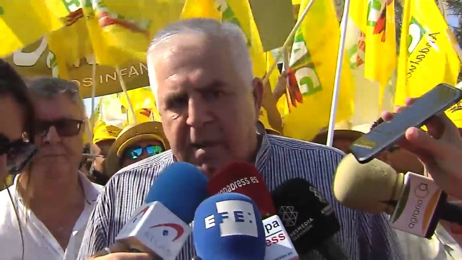 Miles de olivareros andaluces exigen un precio justo del aceite