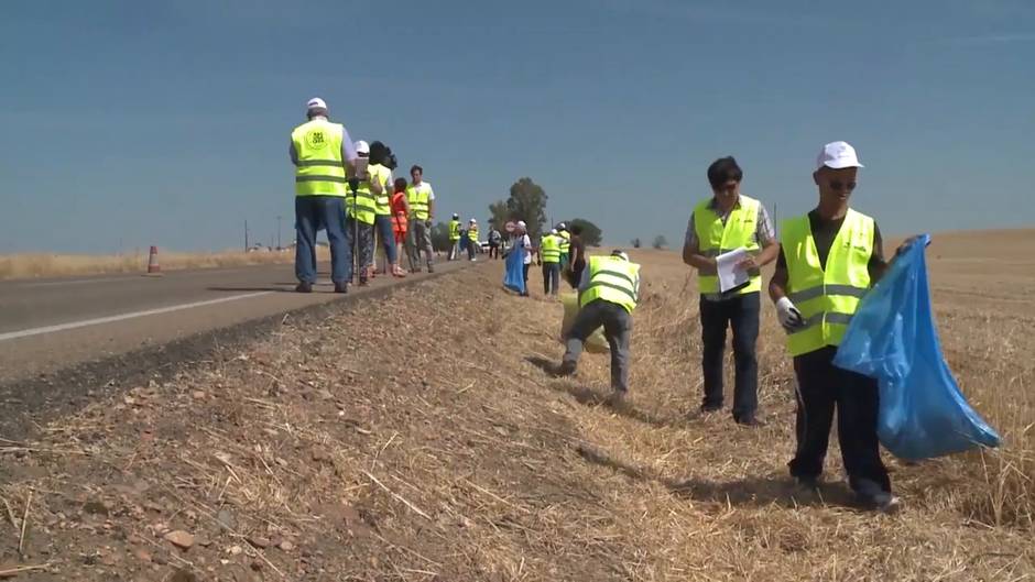 Seo Birdlife y Ecoembes luchan contra la basura en las cunetas