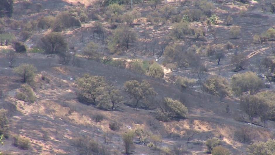 Los detenidos o investigados por incendios crecieron un 90% en 2019