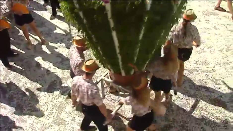 El olor de 'Les Alfábegues' inunda las calles de Bétera