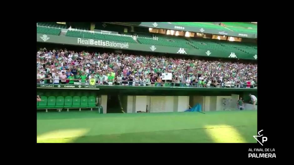 Así fue la presentación de Borja Iglesias con el Betis en el Villamarín