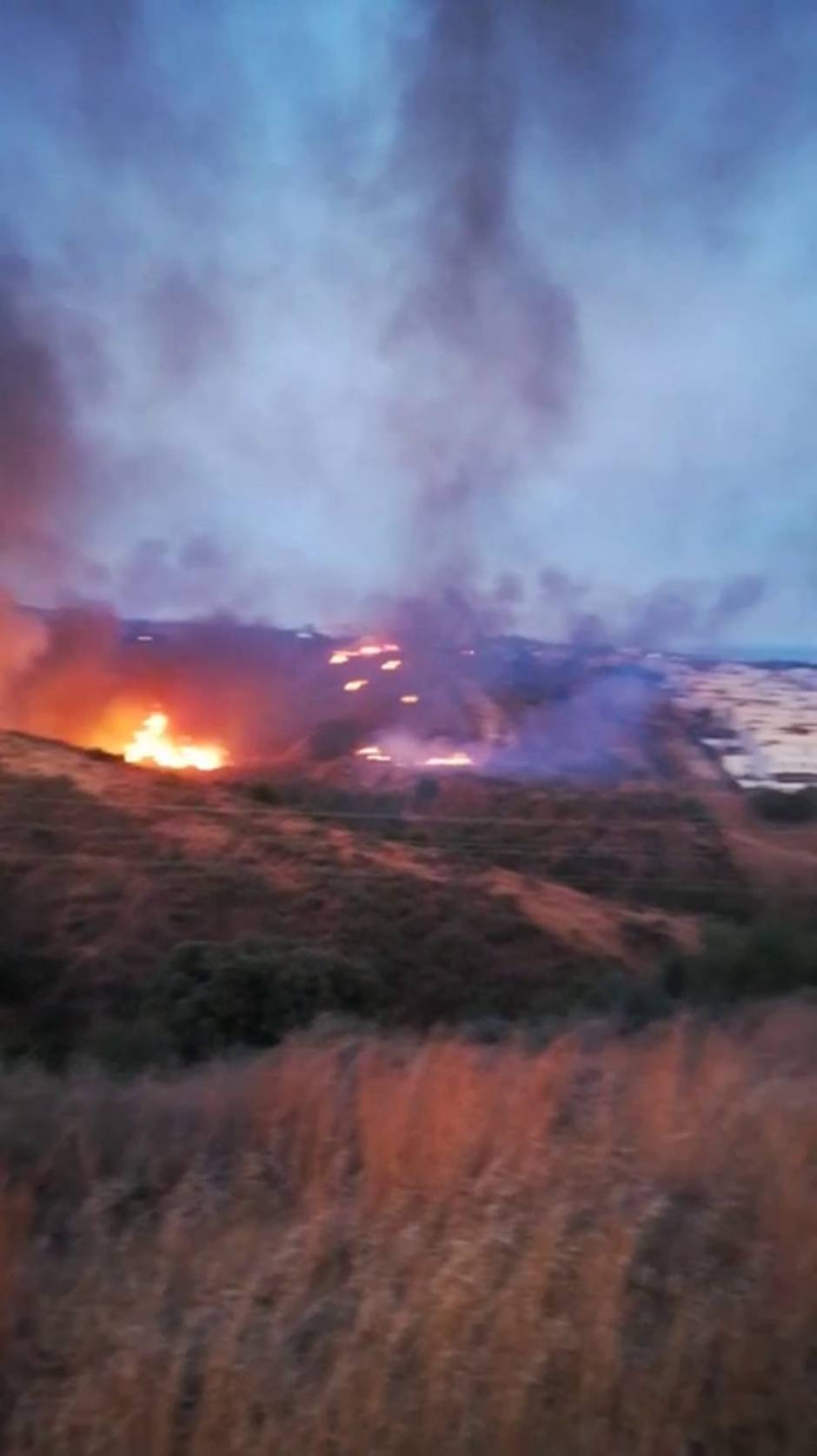 Declarado un incendio forestal en el municipio malagueño de Marbella