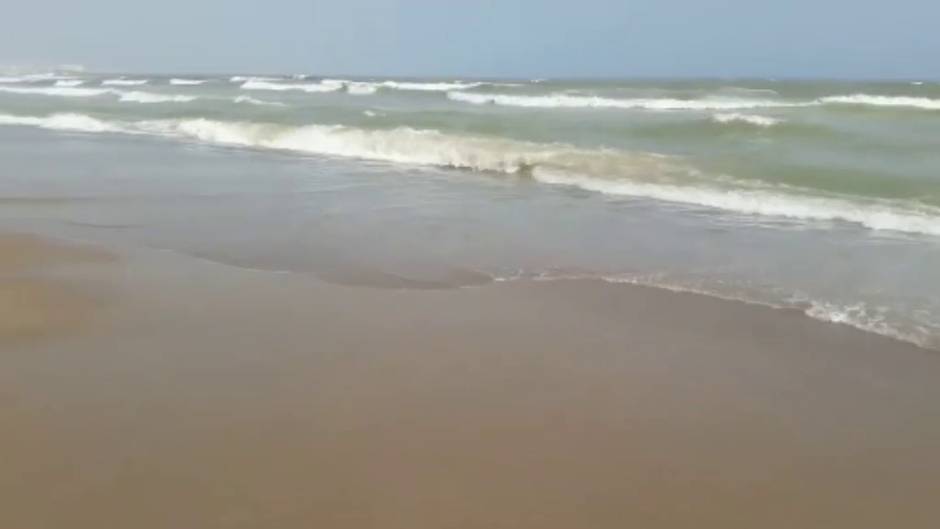 Cierran playas de La Manga por la llegada de atunes muertos tras el temporal