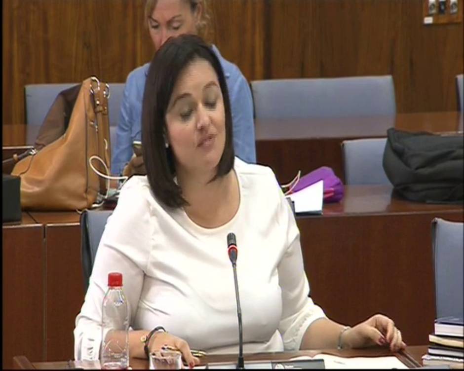 Una diputada andaluza del PP habla en catalán para defender las ayudas de la Junta al castellano