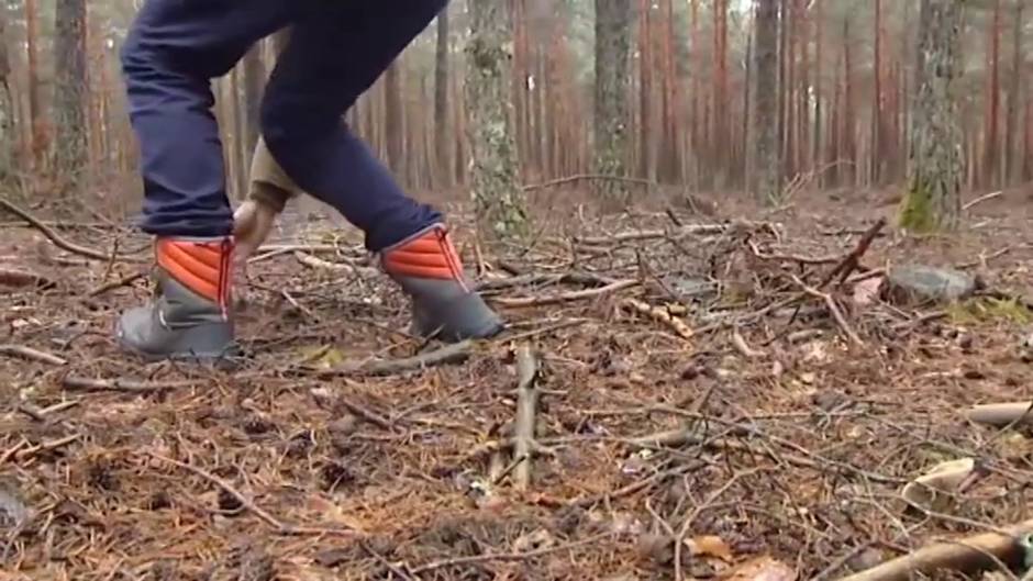 Comienza una temporada de setas espectacular