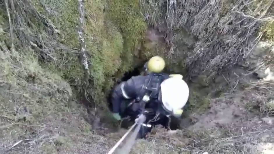 El increíble rescate de los bomberos a dos perros atrapados en un pozo