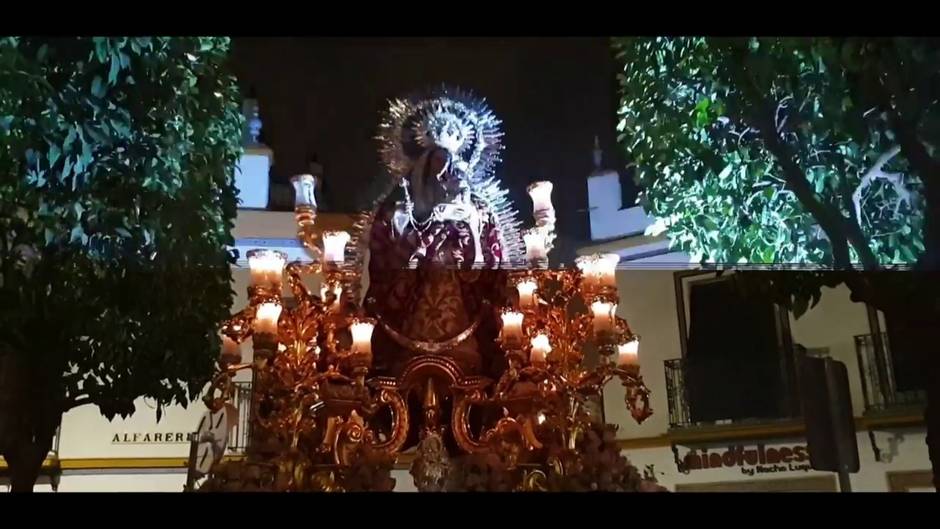 Madre de Dios del Rosario 2019