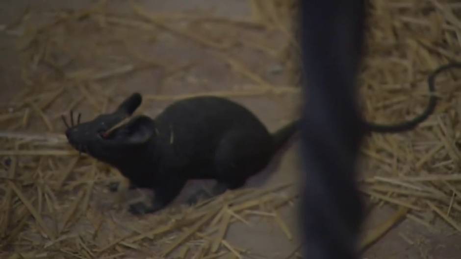 Castilla y León encierra tesoros turísticos únicos