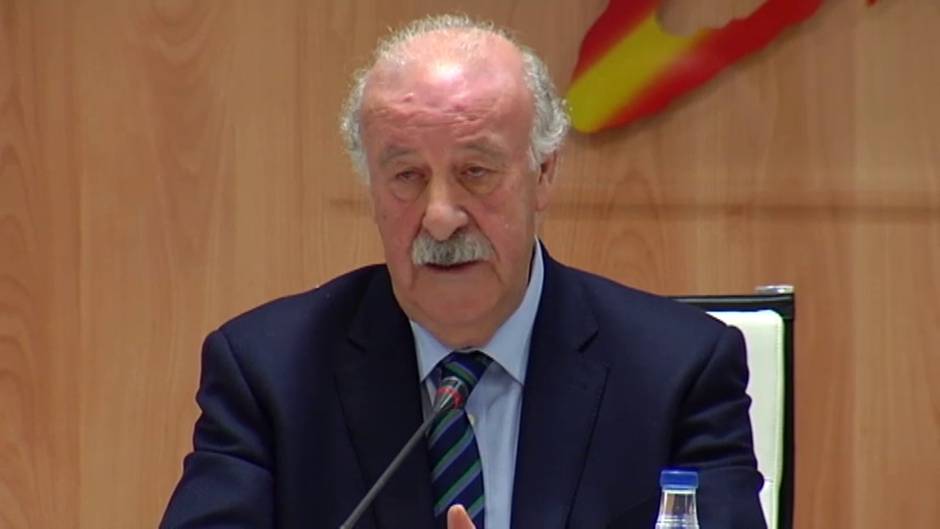 Del Bosque: "En el gol de Iniesta me excedí en la celebración"