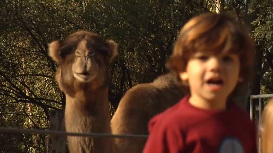 Los pajes de los Reyes Magos recogen las cartas de última hora en el zoo de Jerez