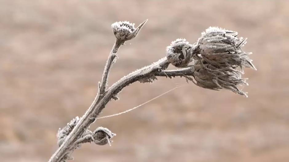 El invierno saluda a Valladolid con temperaturas de cuatro grados bajo cero