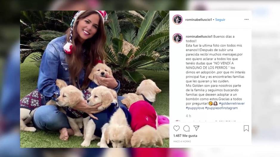 Romina Belluscio aclara la polémica de sus cachorros