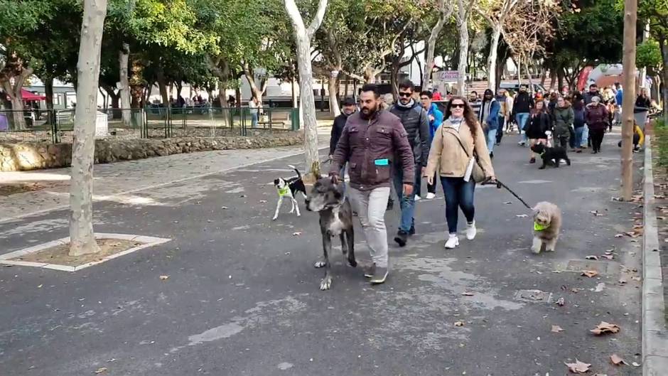 Video Salida completa I Marcha Solidaria San Antón San Fernando 2020