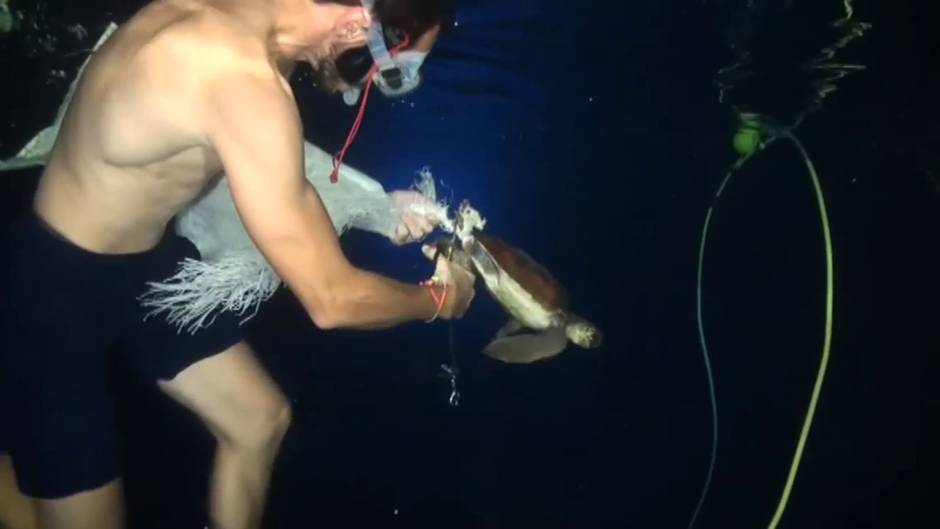 Plásticos en el mar a mil metros de profundidad