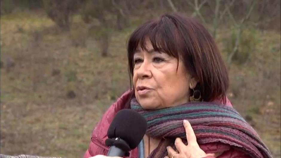 La Justicia tendrá que pronunciarse por el IVA autonómico