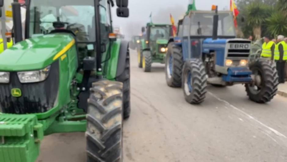 Tractorada en Carmona