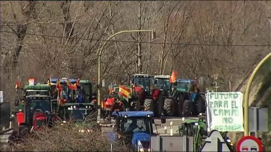 El Gobierno centra el Consejo de Ministros de hoy en el sector agrícola