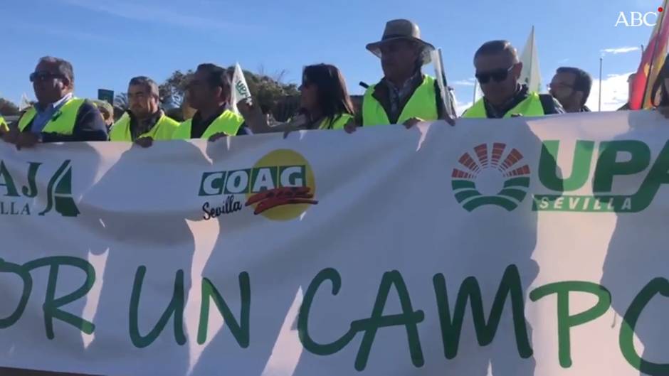 Las protestas de los agricultores en la provincia de Sevilla han provocado cortes de tráfico en la A-49, la AP-4, la A-92 y la N-4