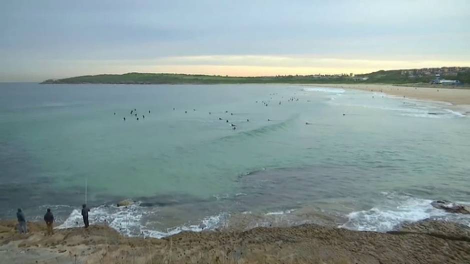 Australia reabre tres playas en Sídney