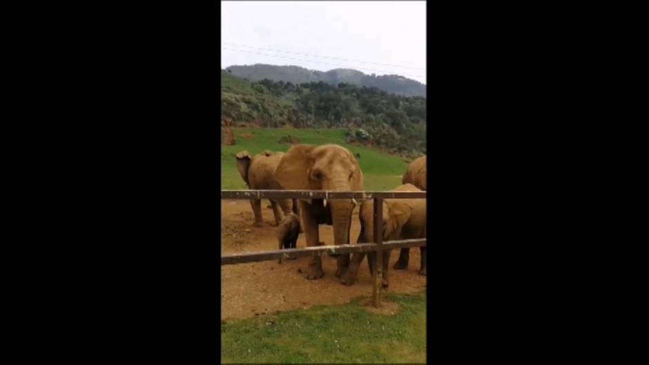 Visita virtual al Parque de la Naturaleza de Cabárceno
