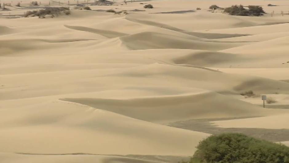 El confinamiento recupera las dunas de Maspalomas