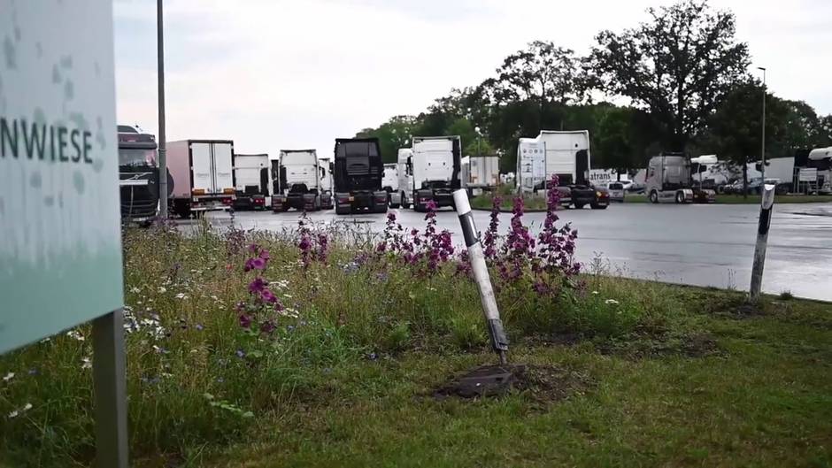 Un matadero de Alemania informa de que 400 trabajadores han dado positivo