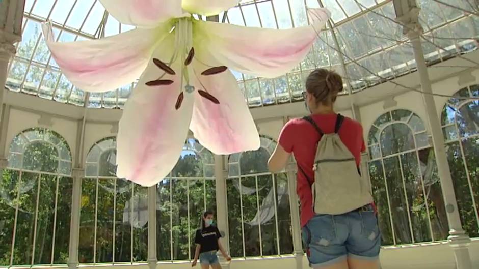 Flores gigantes en el Retiro