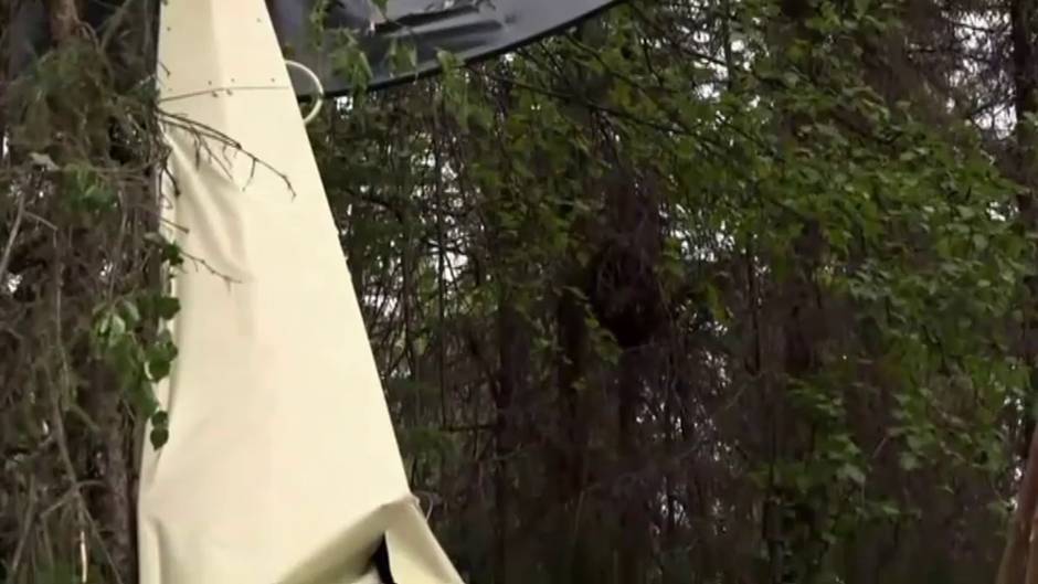 Mueren siete personas al chocar dos avionetas en Alaska