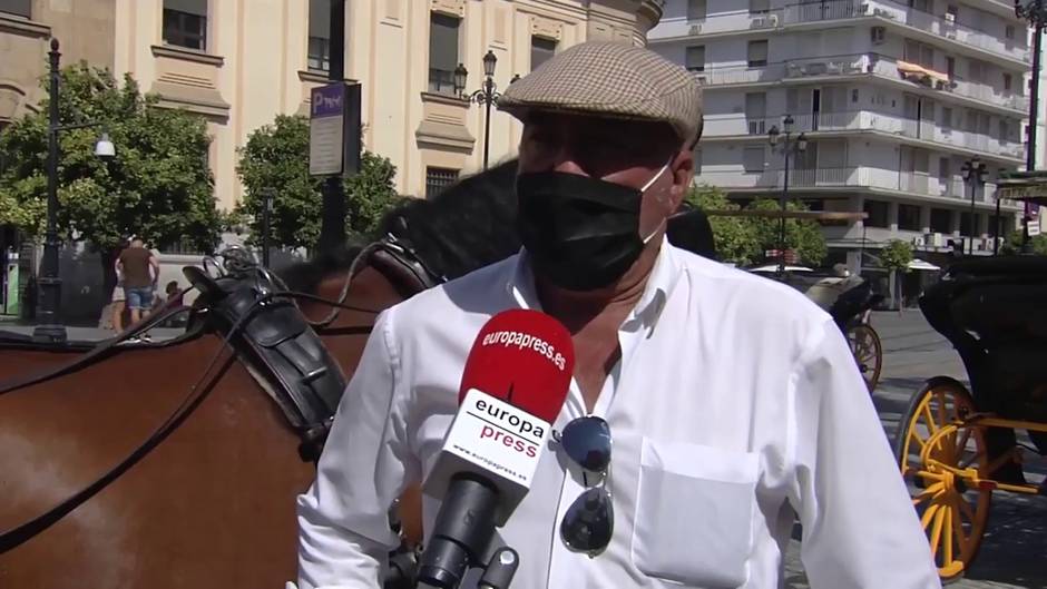 Cocheros de caballos de Sevilla afrontan un verano complicado sin turistas