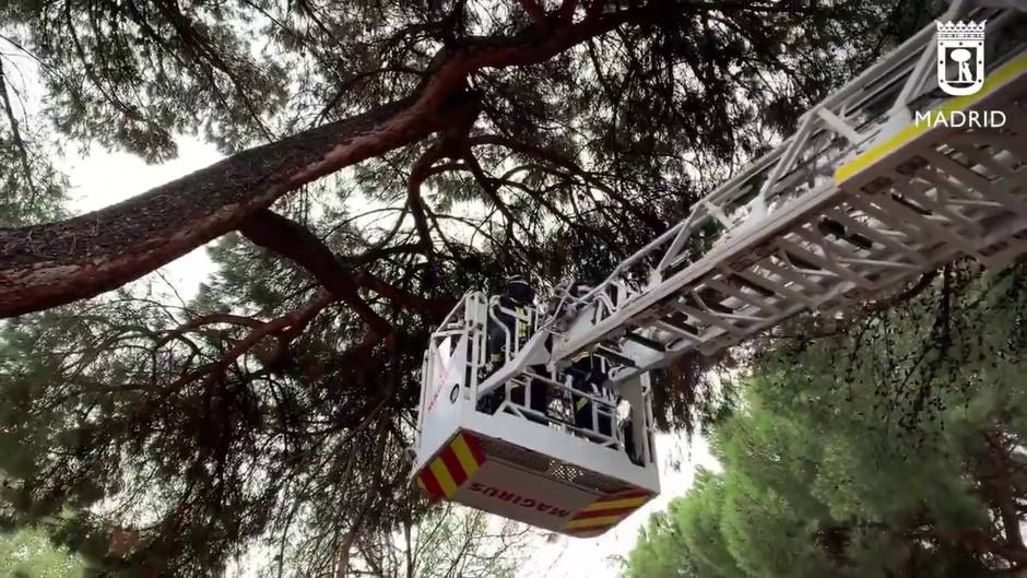 La tormenta obliga a Bomberos de Madrid a realizar más de 180 intervenciones