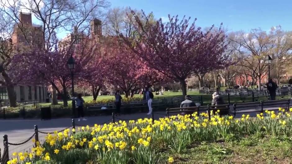 La pandemia de coronavirus pulveriza su récord diario de nuevos casos