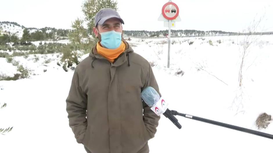 Filomena también deja importantes destrozos en el campo