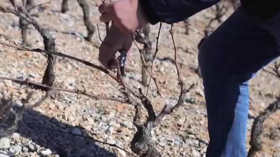 De las cálidas tierras mediterráneas de Croacia a la mesa del líder del mundo en Washington