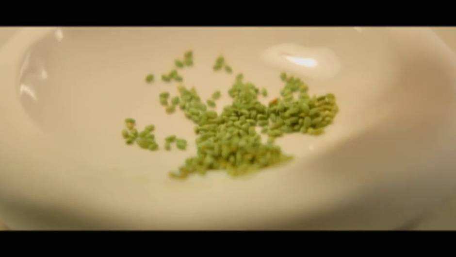 Angel León se sumerge para descubrir un "cereal marino"